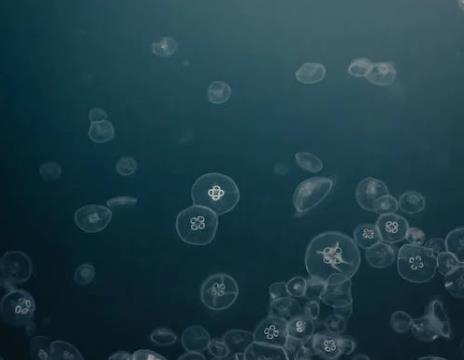 1667894045505654.jpg 水质监测.jpg