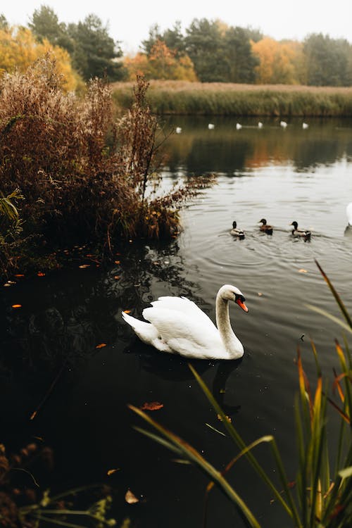 1679447652702737.jpeg pexels-photo-14434666.jpeg